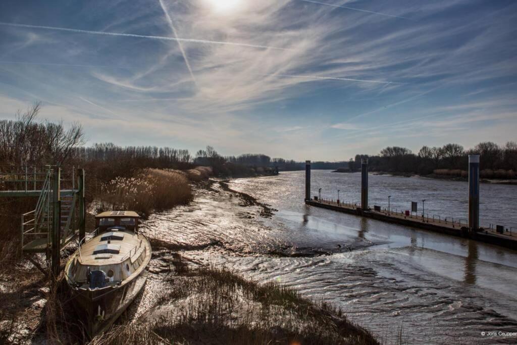 Amand'Eau - Zwemvijver, Zonneterras, Grote Tuin Sint-Amands Exterior foto